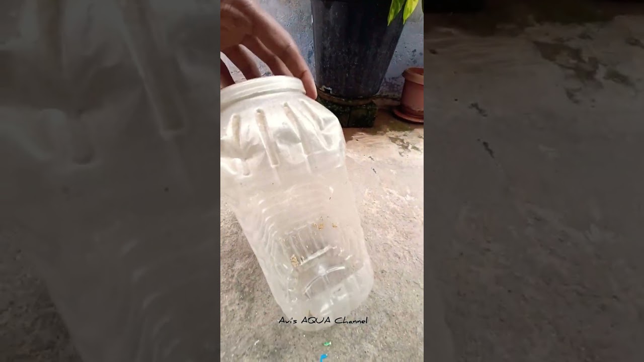 creative Fish Tank💫 using Plastic Jar ✨💖#creative #ideas @avinash.03