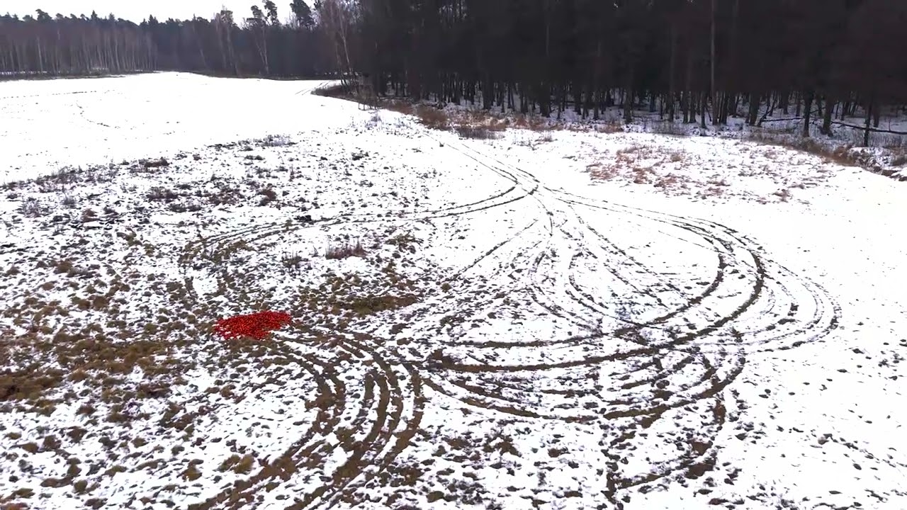 DJI