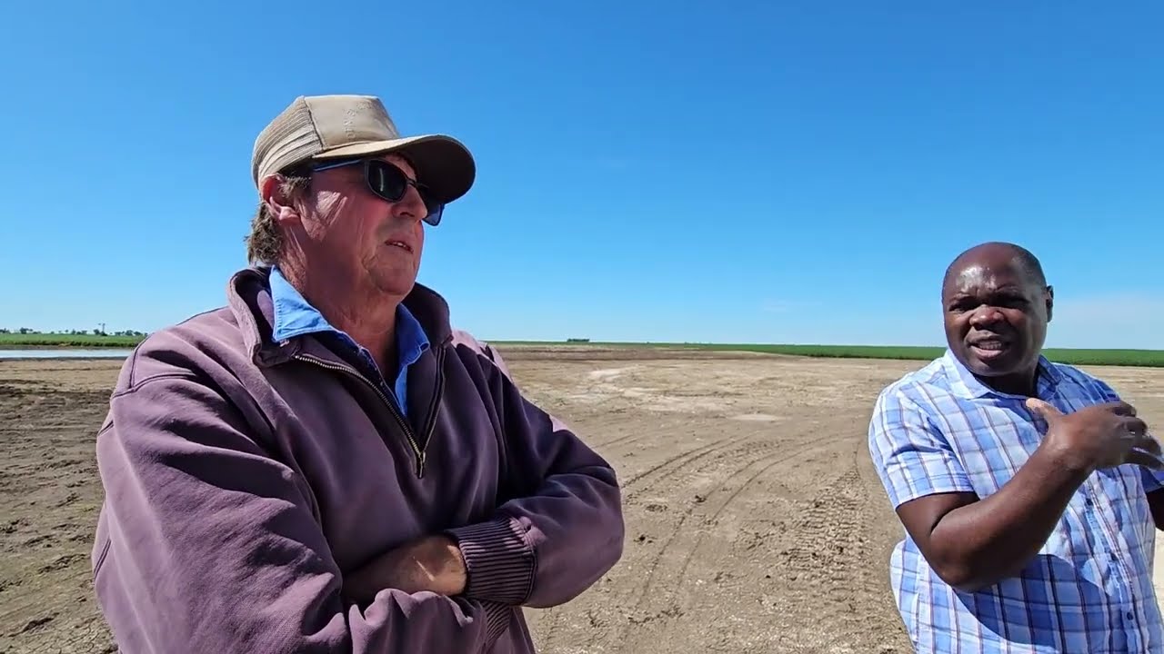 Dryland Farming Secrets: Australia's Top Farmers Reveal All! (Wheat, Peas, Beans) #notillfarming