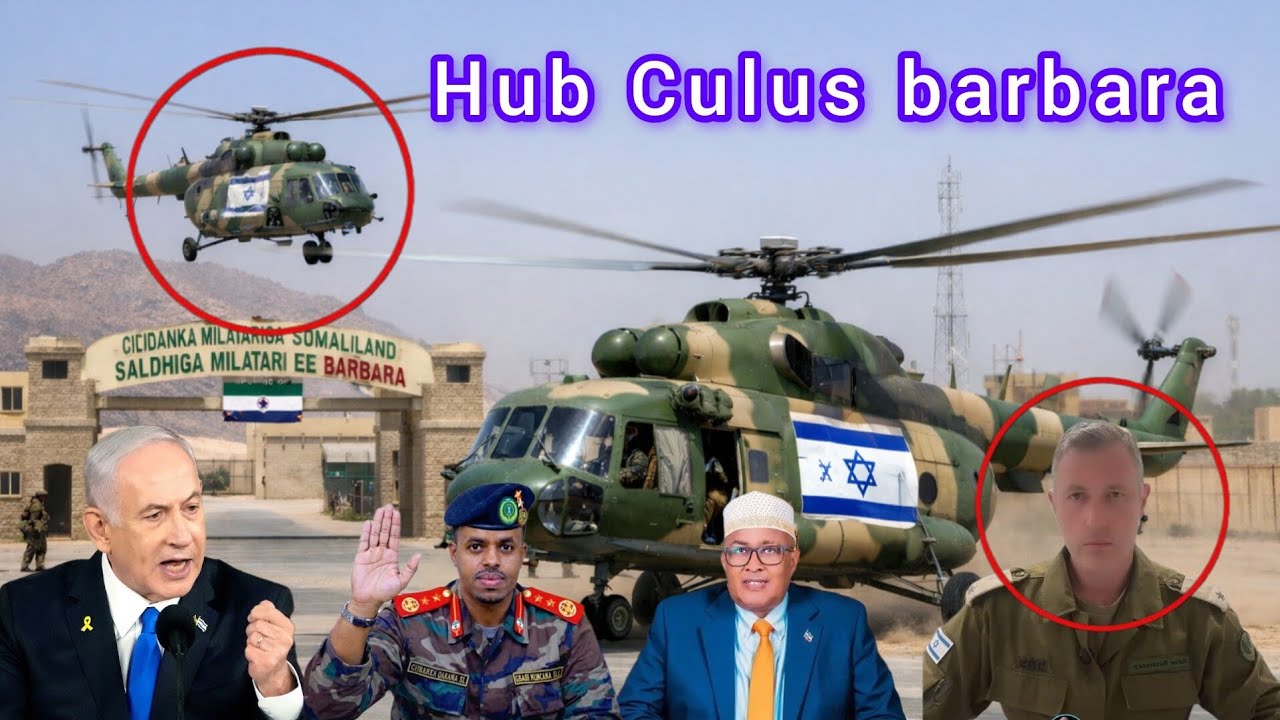 Hub Culus