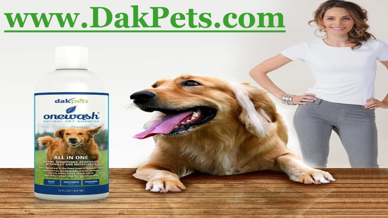 Safe Shampoo for Dogs