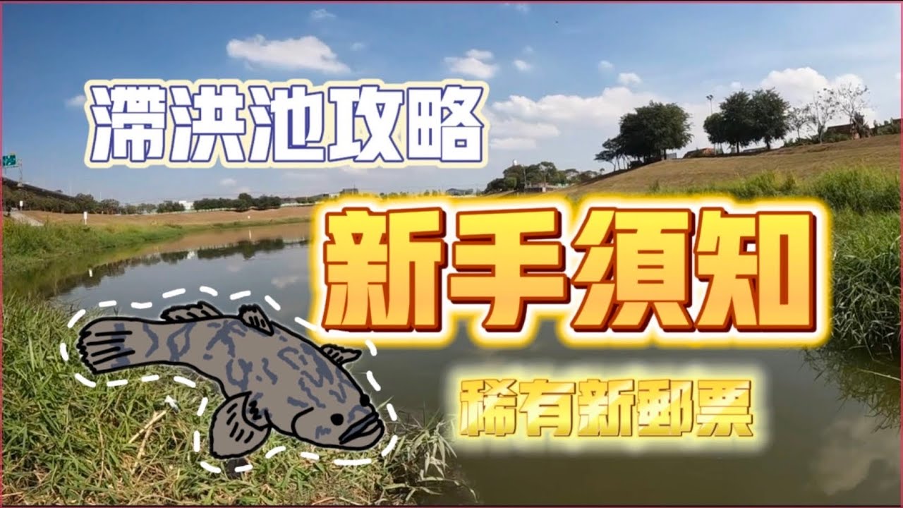 『新手釣魚』滯洪池攻略 原來魚都在這裡 稀有新郵票#村長 #fishing #路亞 #釣魚 #新手釣魚 #筍殼#泰國鱧 #高雄釣魚 #高雄路亞