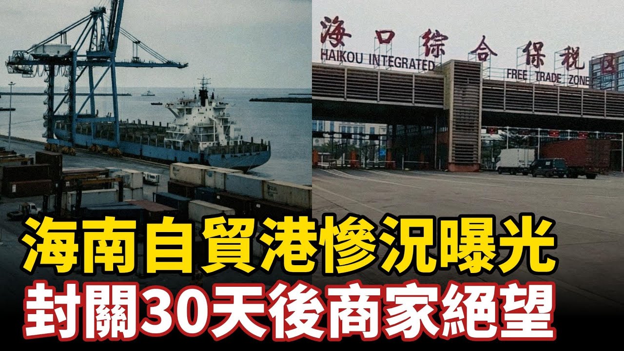 海南自貿港慘況曝光，封關30天後商家絕望！滿城冷清免稅城生意成片熄火港口空蕩，物價狂飆暴漲逼瘋千萬月薪3000島民#中国社会 #海南封关#自贸港#免税