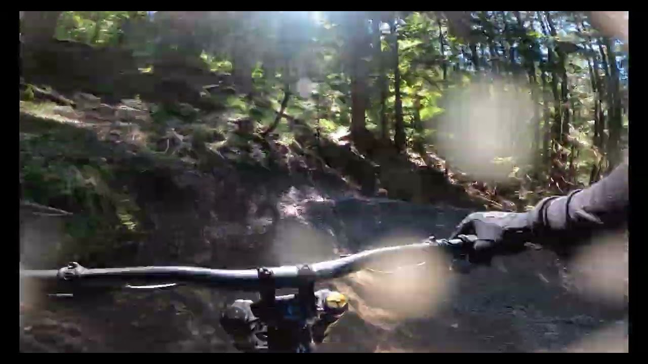 Bikepark Bad Hindelang 2025 // Yellow Banana + 1st time Red Chilly (Fail) // raw
