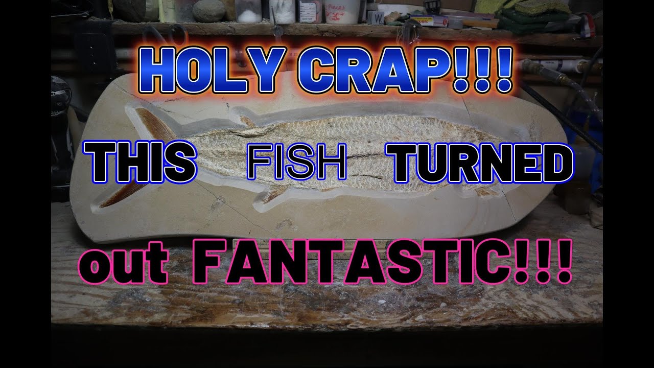 Get A Load of This Big Beautiful Eubiodectes!!!  WOW!!!