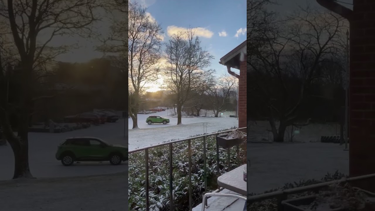 La primavera sueca 🥸❄️ 