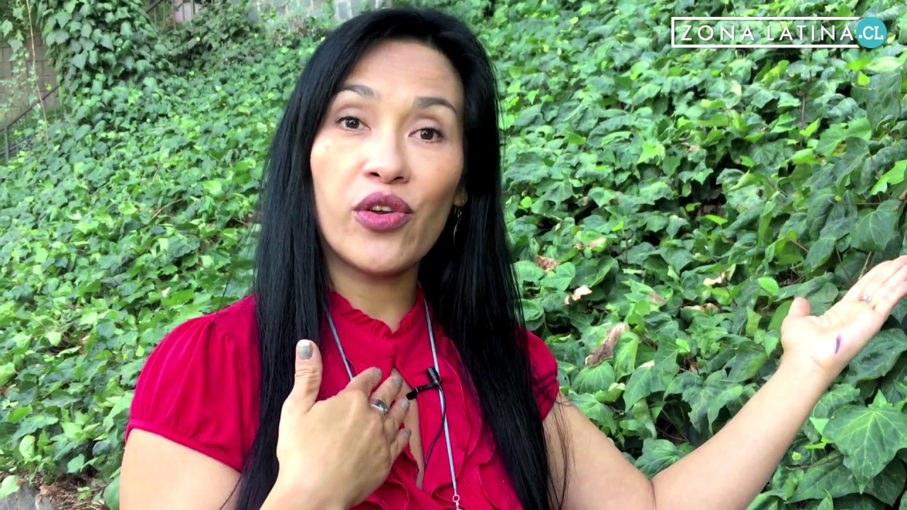 &iquest;Qu&eacute; significa la Terapia Transgeneracional? #MensajesDelAlma