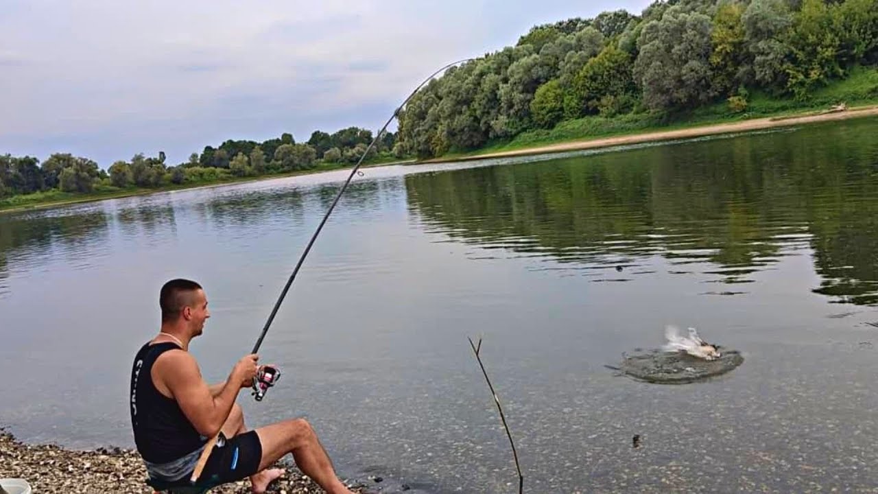 Pecane Feeder tehnikom na 