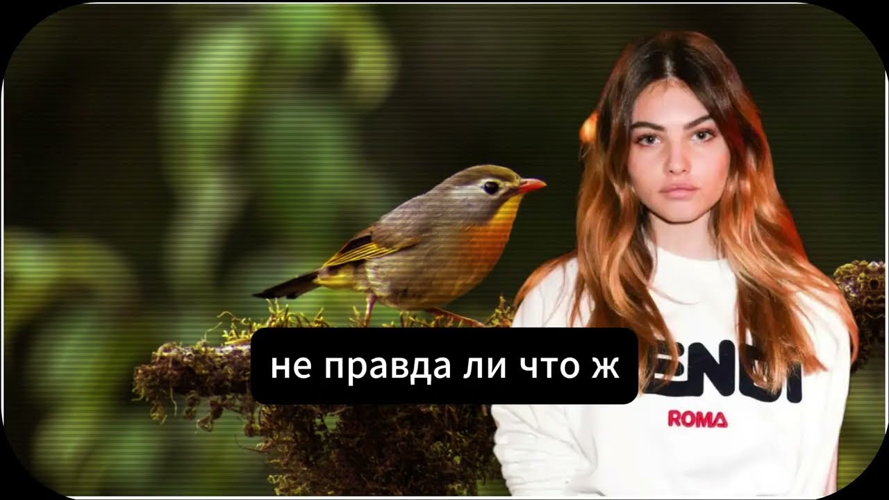 Мужчины старше 60, перед которыми женщины не могут устоять — вот что они делают