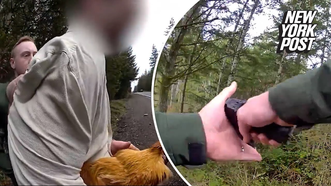 Washington state police arrest man who stole ex-girlfriend&rsquo;s CHICKEN