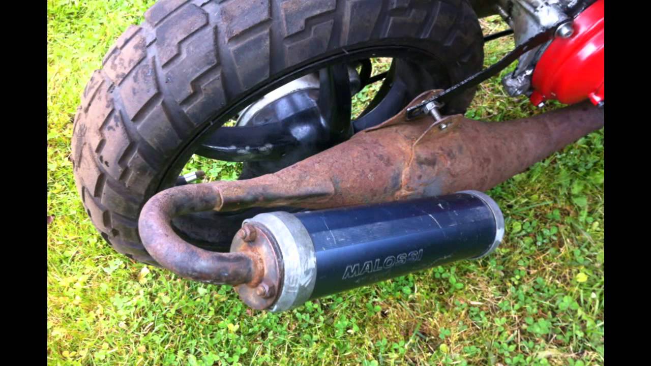 Benelli 491 Custom