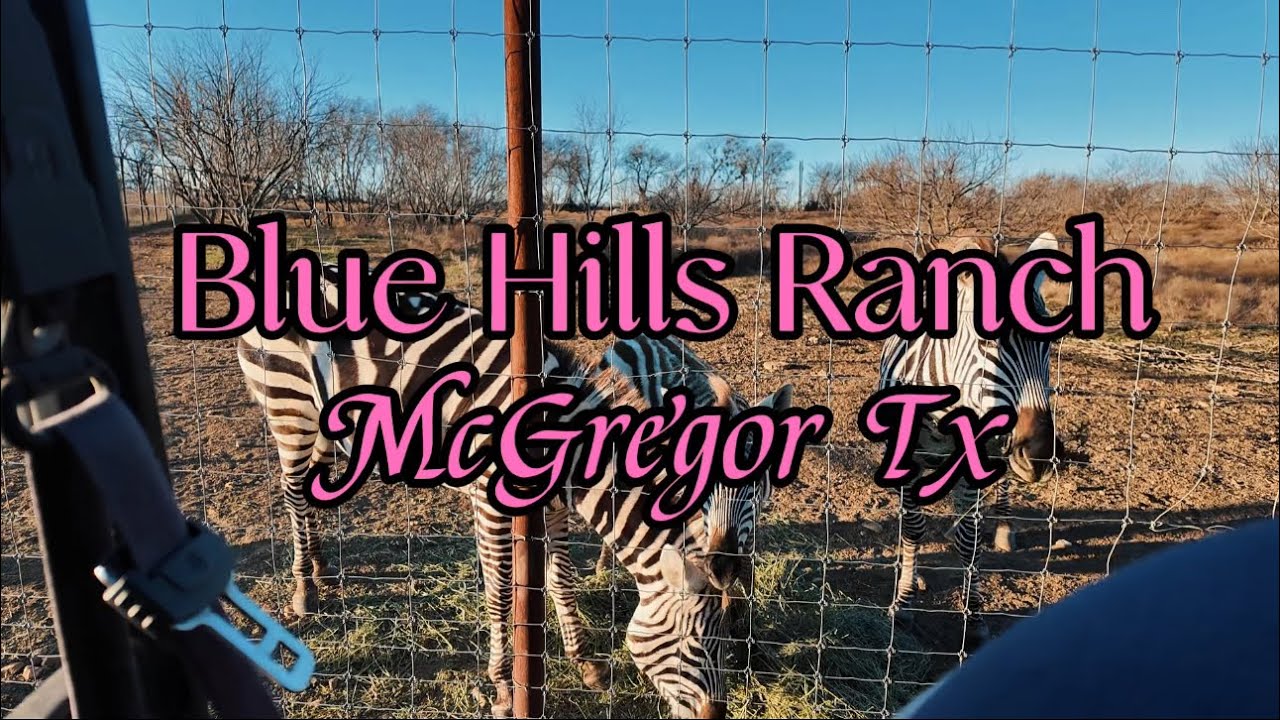 TEXAS SAFARI BIRTHDAY TOUR: VLOG DAY BIRTHDAY CELEBRATION 