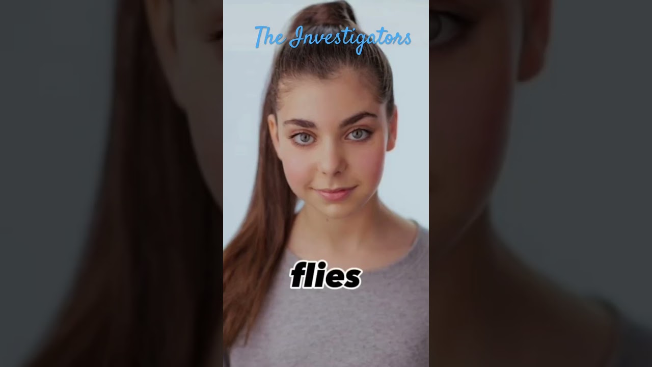 Then vs now investigators(song isn’t mine)