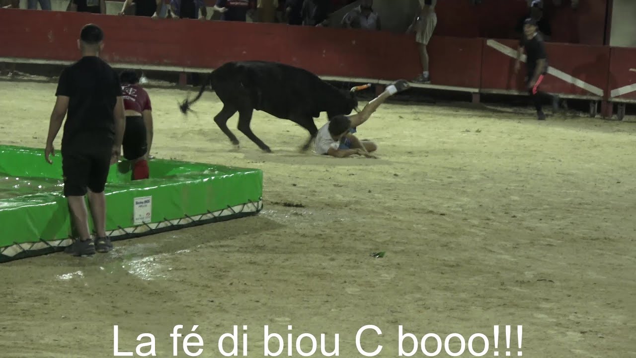 Lunel Viel ▶Taureaux piscine manade Alain◀ 29.06.2024.