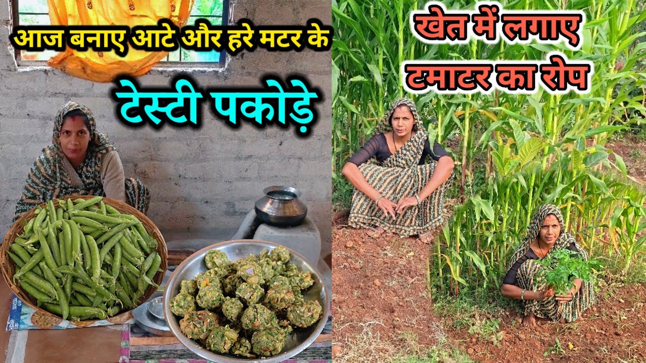 आज बनाए आटे और हरे मटर 🫛के टेस्टी पकोड़े🌺 खेत में लगाए टमाटर का रोप#housewifelife