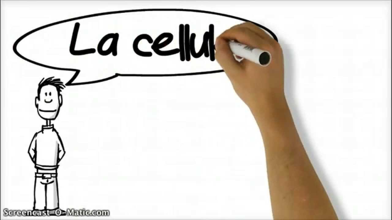 Tous niveaux - La cellule