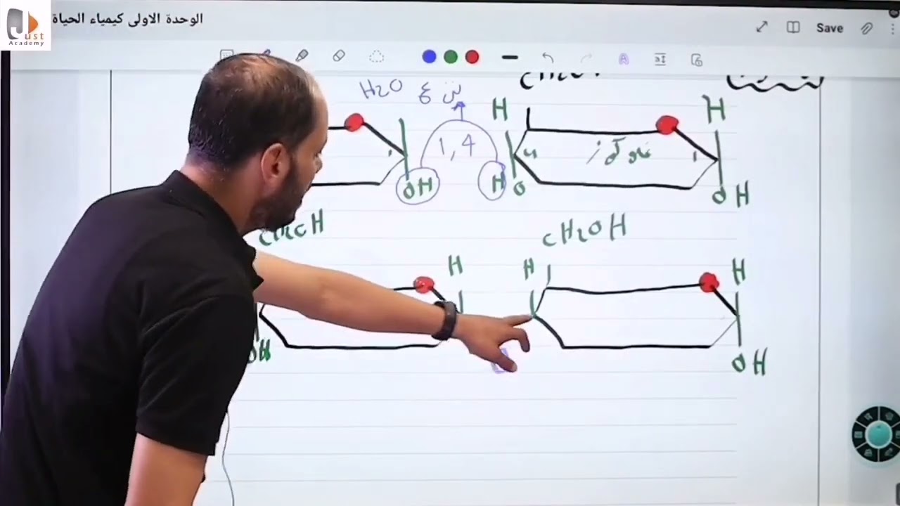 آلية تكون سكر المالتوز