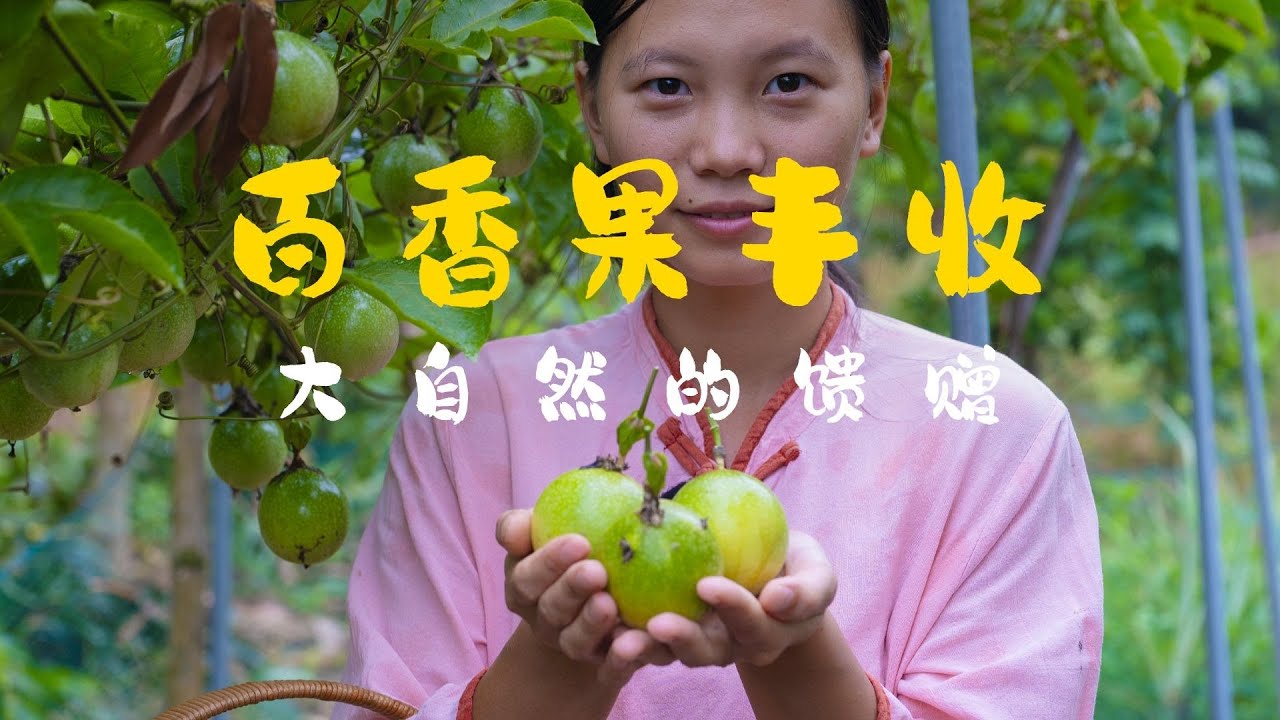 山间栽果，四时成藤。采实拌鸡，酸甜迸发，一口收尽夏秋之味