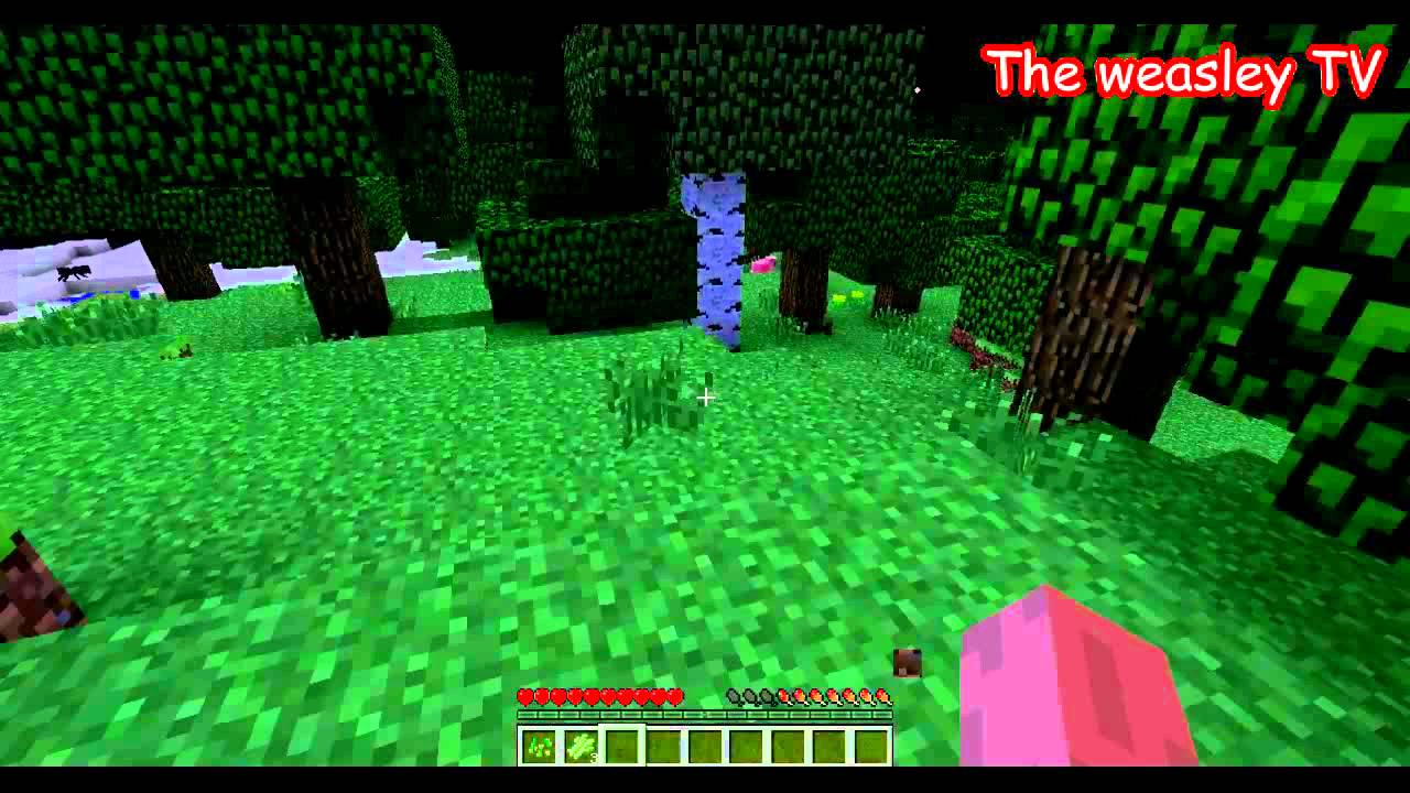 The weasley TV - Обзор Minecraft 1.2.3