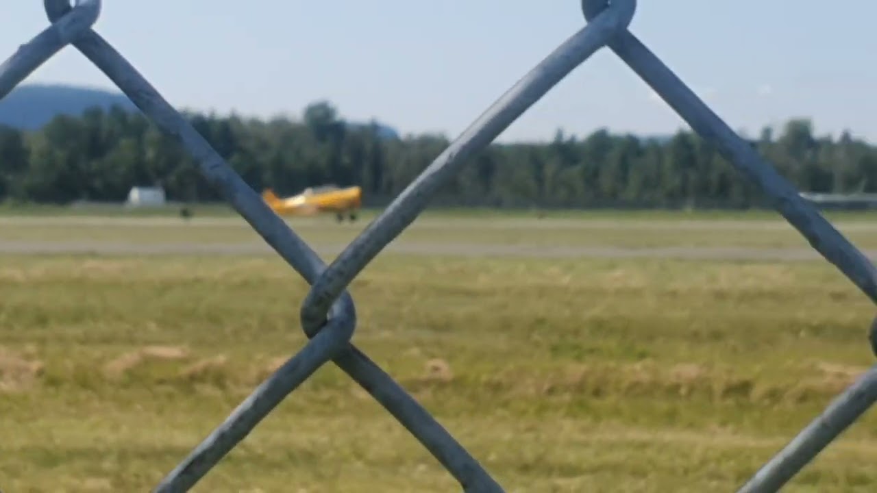 WW2 training aircraft taking off