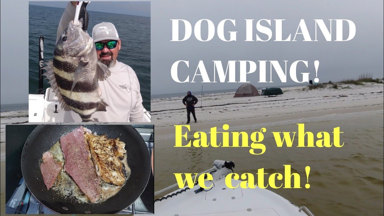 Camping trip on Dog Island! Fresh fish dinner. catch clean cook.