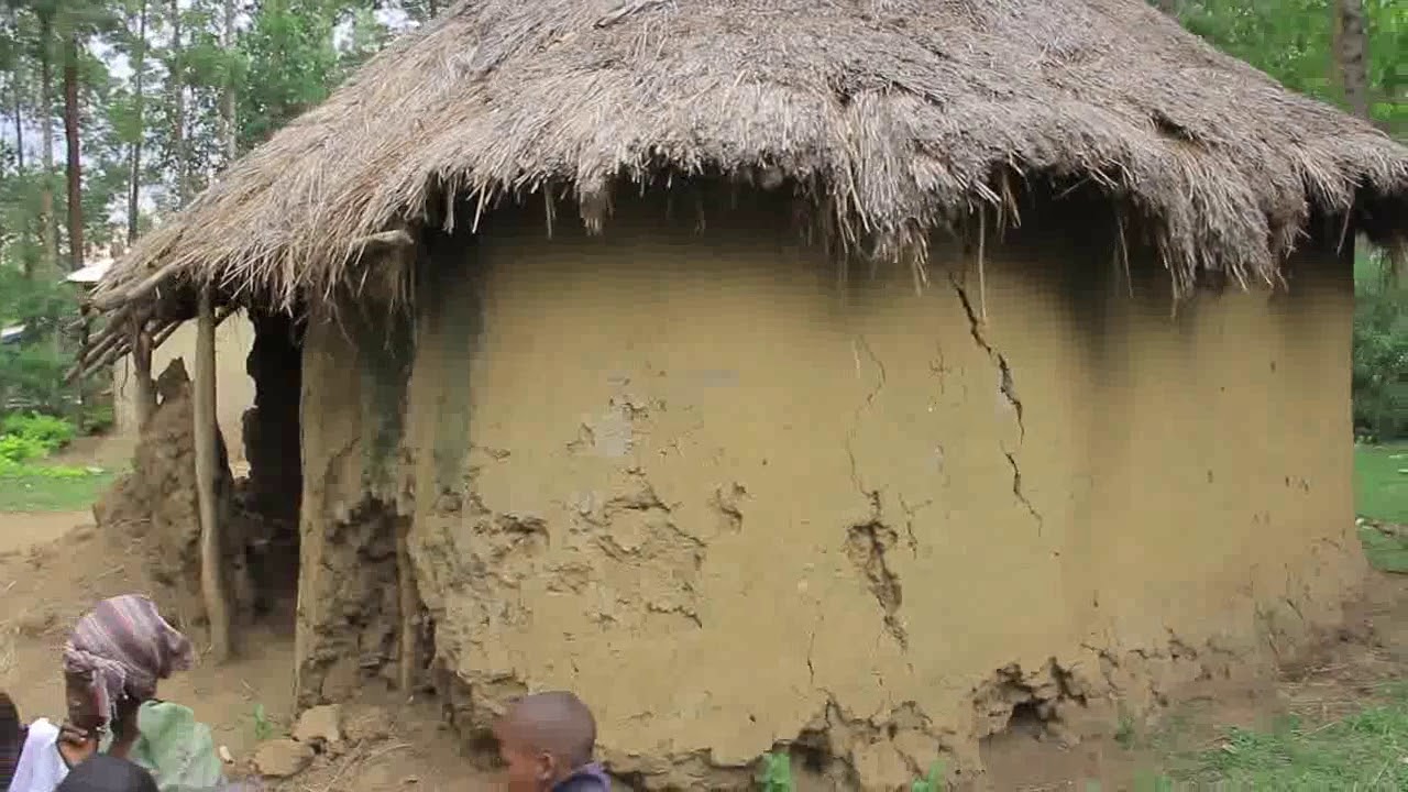 Pombe
