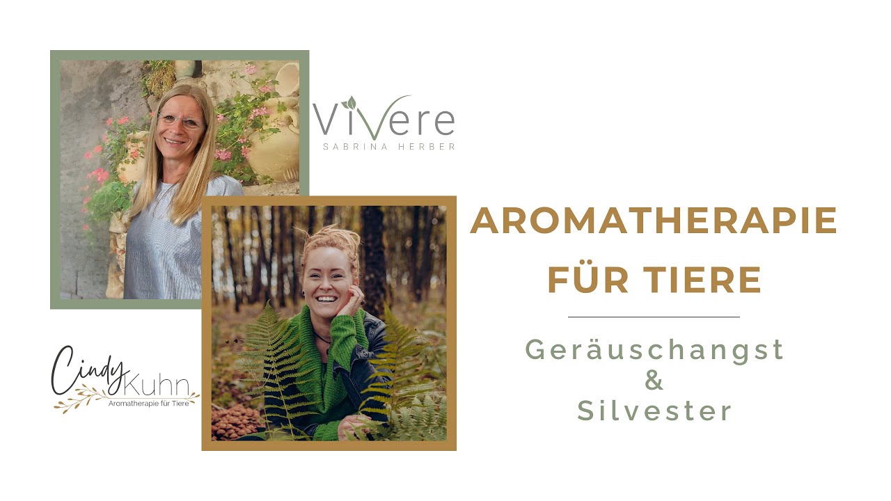 Aromatherapie für Tiere - Geräuschangst und Silvester