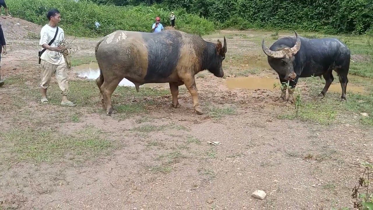 Trận số 1 em đã làm rất tốt