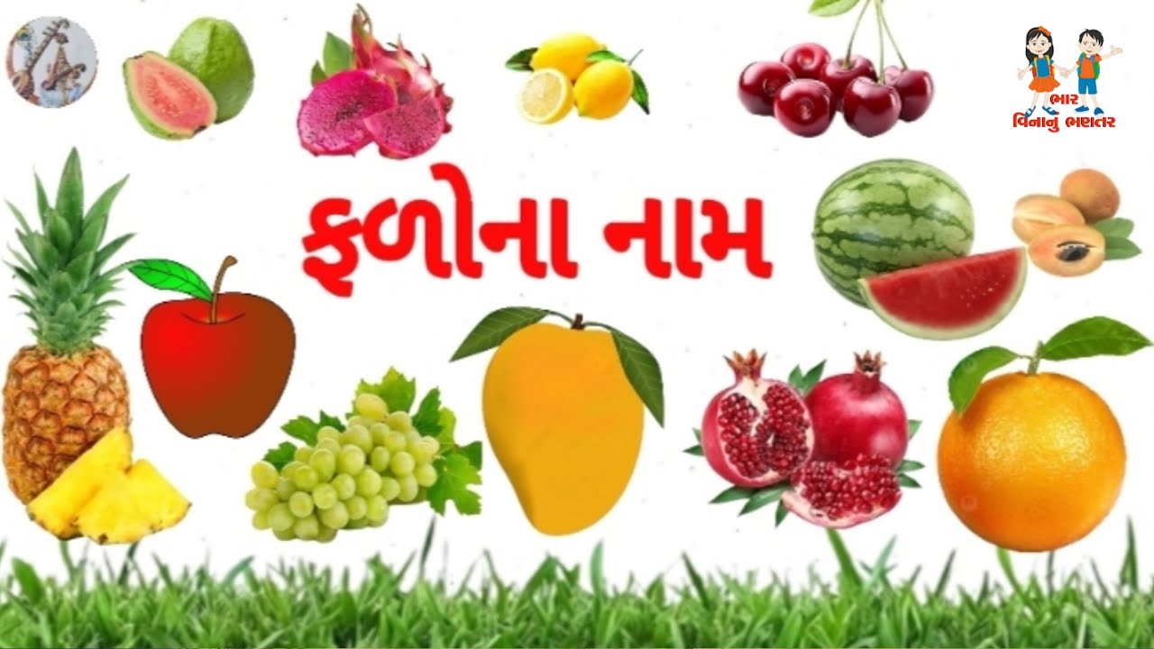Fruit Name in Gujarati | ફળોના નામ | Falo Na Nam| For kids