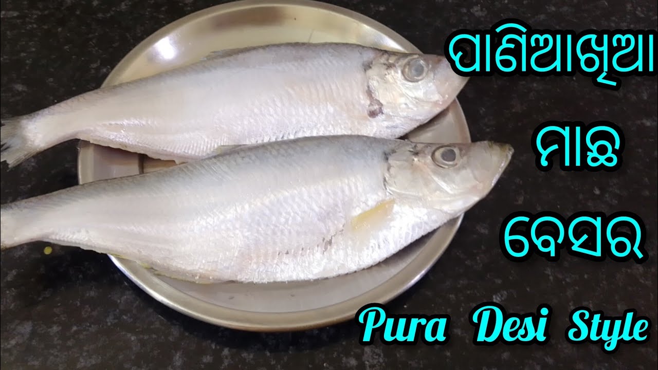 ମାଁ ଙ୍କ ହାତ ର Tasty ପାଣିଆ ଖିଆ ମାଛ ଝୋଳ। Paniakhia machha jhola। Sea fish Curry // Pure Desi Style 🤤🔥