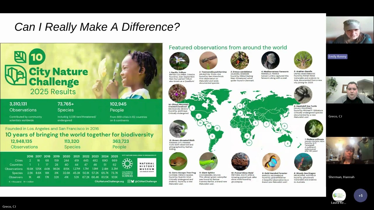 Cafe: City Nature Challenge (March 2026)