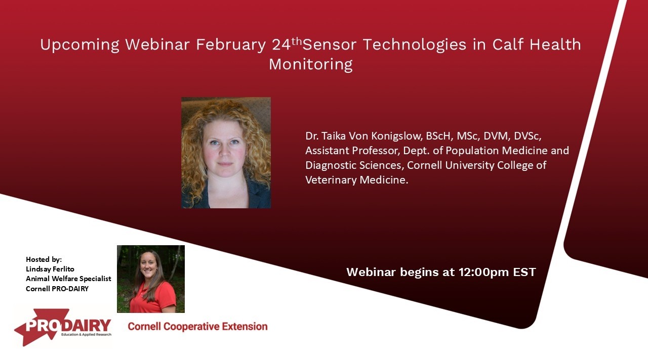 Sensor Technologies in Calf Health Monitoring