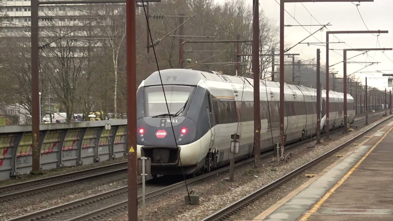 Tog på Nivå, Slagelse, Høng, og Rødovre station.