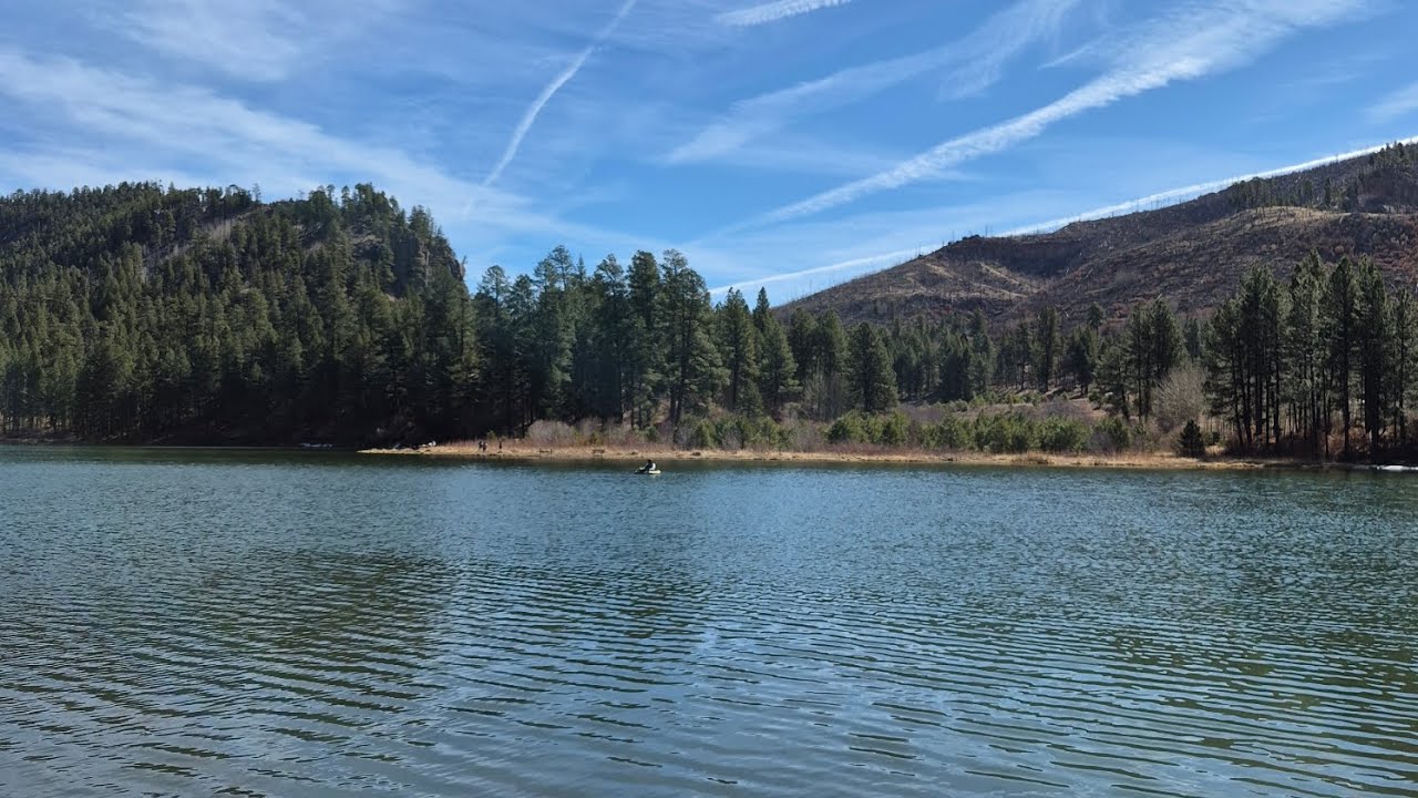 Road trip to Fenton Lake Jemez with our dogs. #roadtrip #travel #newmexico #dogtrip #fyp 