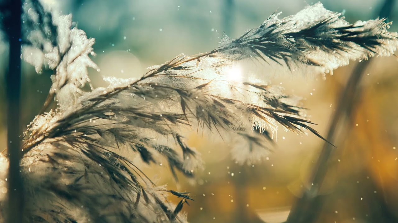 Piku theme loop | soothing music | travel music | Instrumental | Guitar | pop | Vicky Hussain