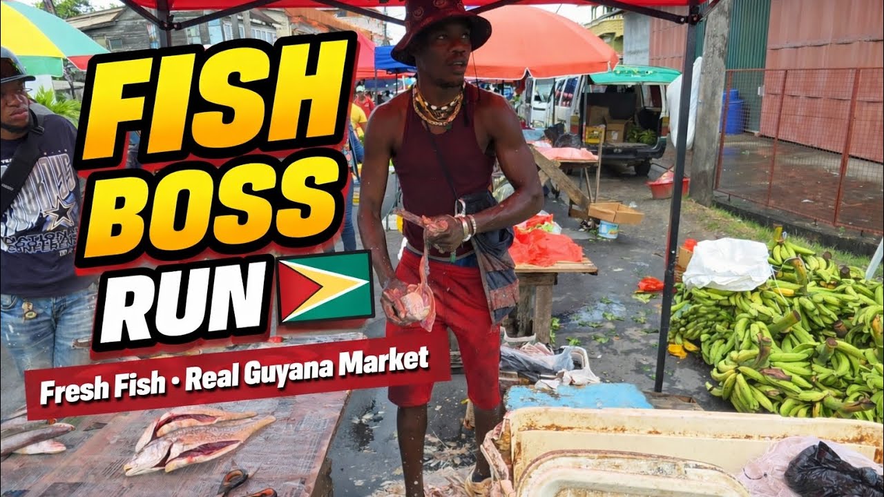 THE REAL FISH BOSS RUN GUYANA EASY LIKE 123
