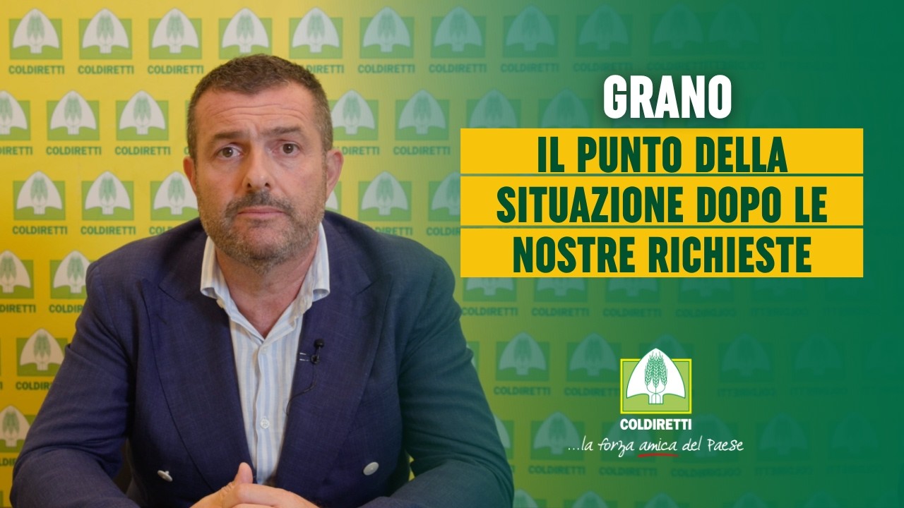 GRANO | IL PUNTO DELLA SITUAZIONE DOPO LE NOSTRE RICHIESTE