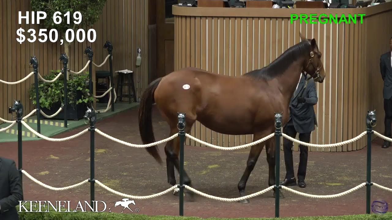 Keeneland November Livestream