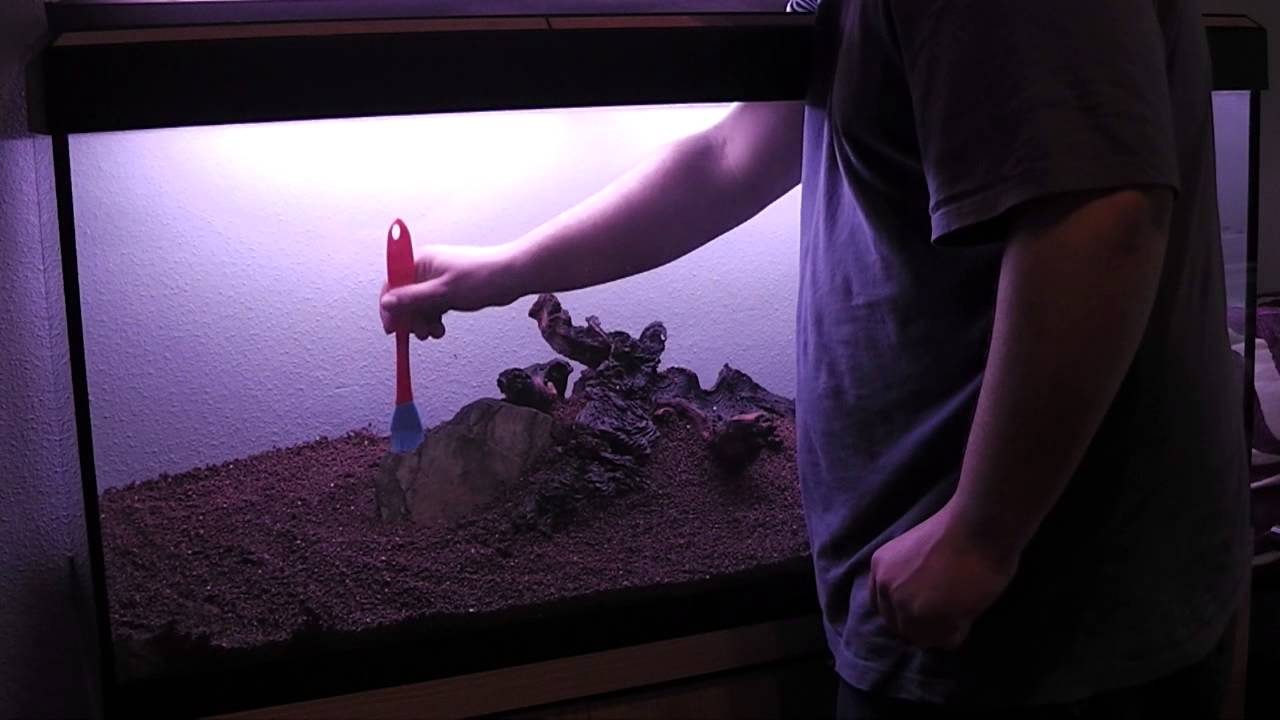 montaje de acuario plantado de 240 litros