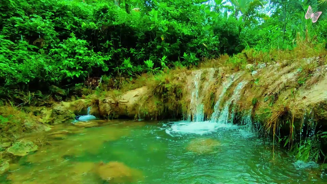 Stress Relief Music 🌿 Relaxing Sleep Music for Anxiety & Depression, Healing Calm Mind 33