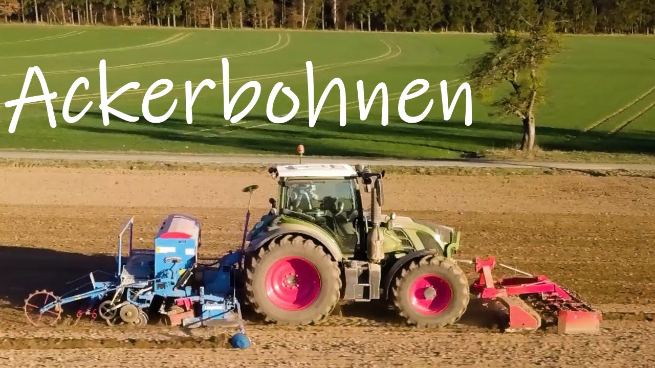 Bio-Ackerbohnen Aussaat | Juchems´ Hof | Fendt 516
