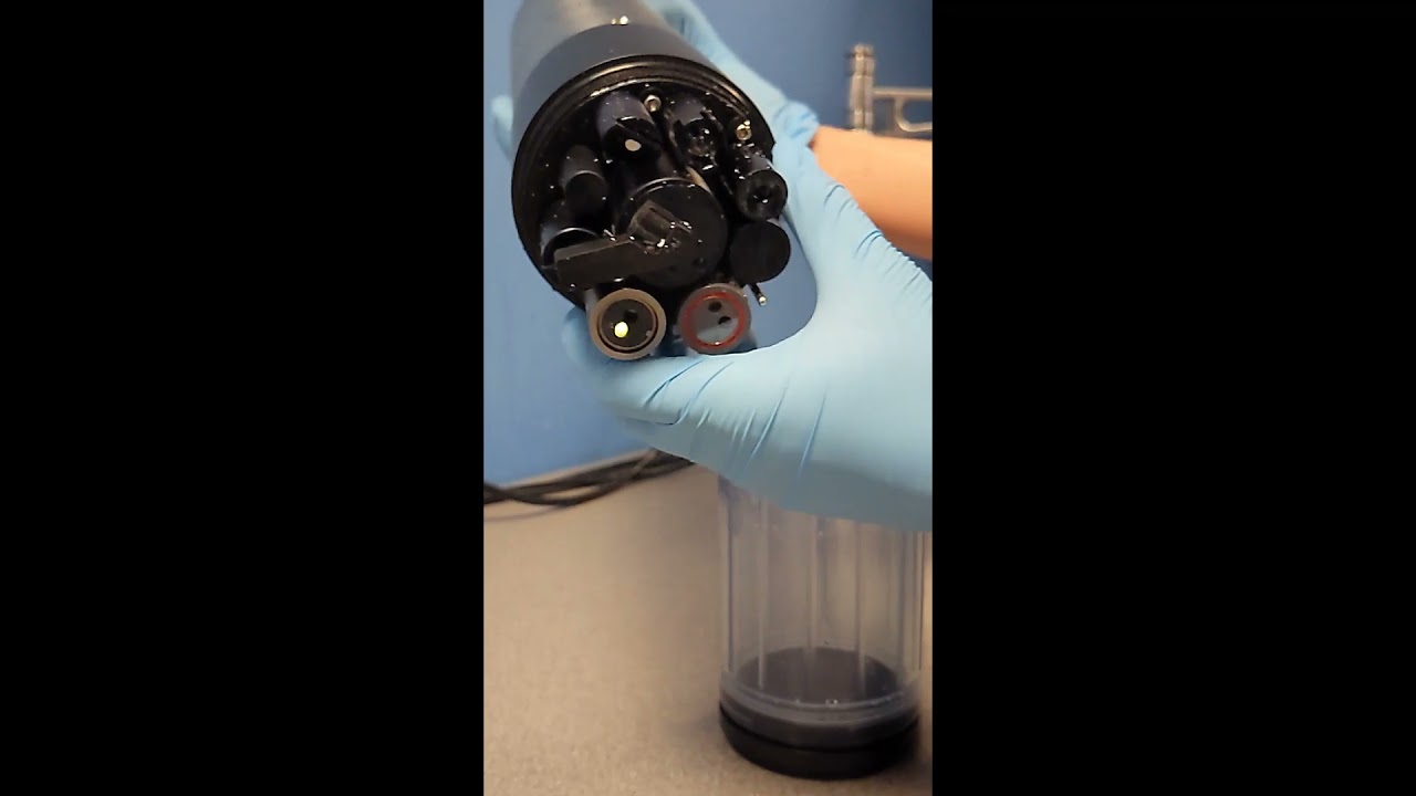 Introducing the Proteus Sensors