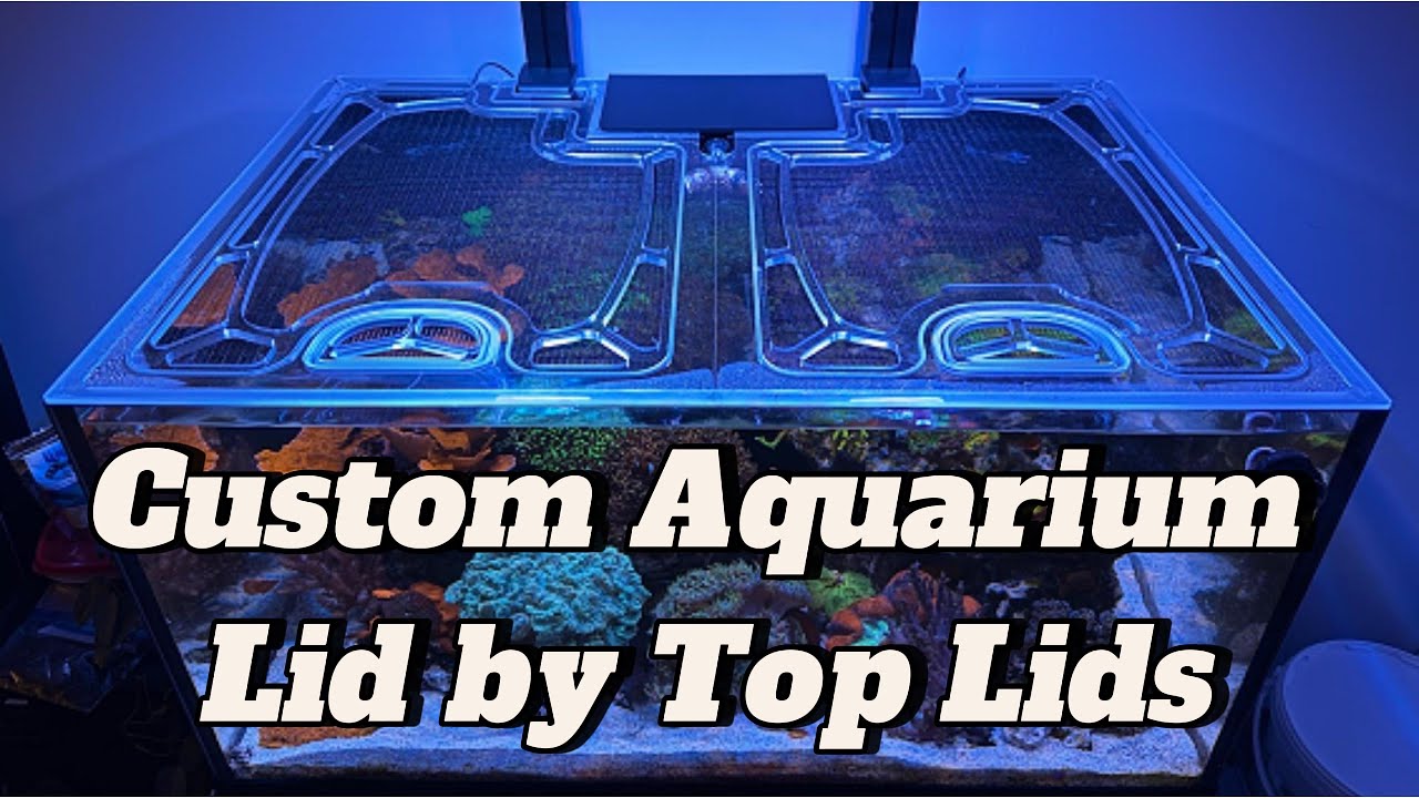 Custom Aquarium Lid by Top Lids