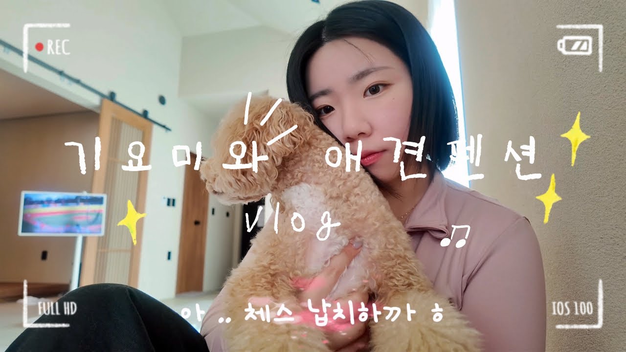 9년차 커플이 강아지와 겨울 수영장에서 노는 법👩🏻‍❤️‍👨🏻🐶 따끈따끈 애견펜션 VLOG