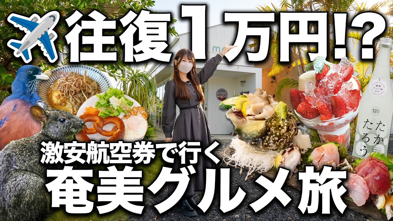 【往復1万円⁉️】冬の奄美大島でグルメに全振りしたら幸福度が限界突破した🏝️✨