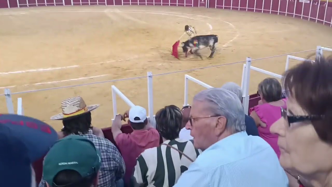 Pocho. Plaza de toros Peal de Becerro. Agosto 2025
