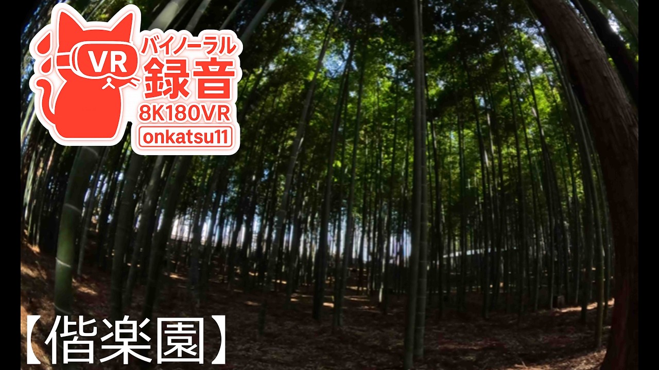 🎋 Kairakuen Bamboo Grove Walk — One of Japan’s Three Great Gardens (8K VR180)🌿✨Chapter Two‼
