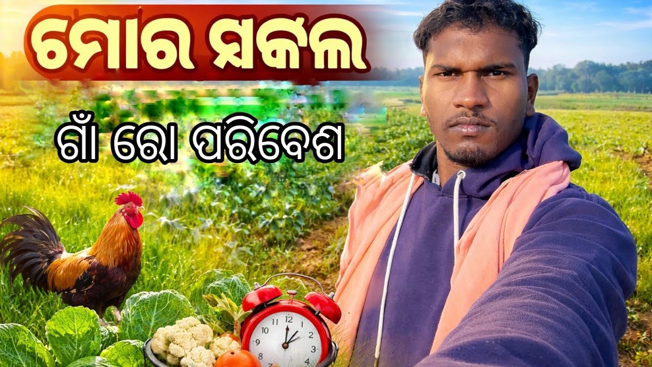 ଗାଁ ରୋ ପରିବେଶ ମୋ ସକାଳ #khageshvlogs 