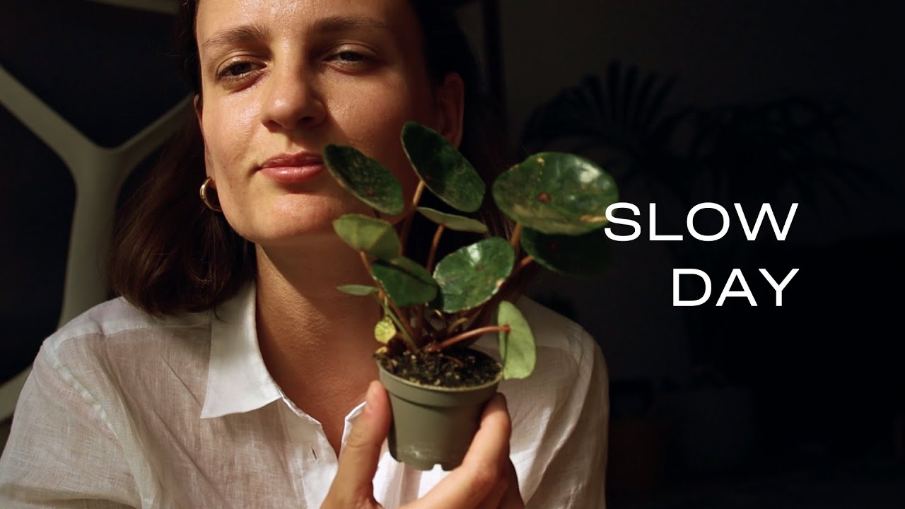 Outdoor watercolour painting, reading & new home plants✨