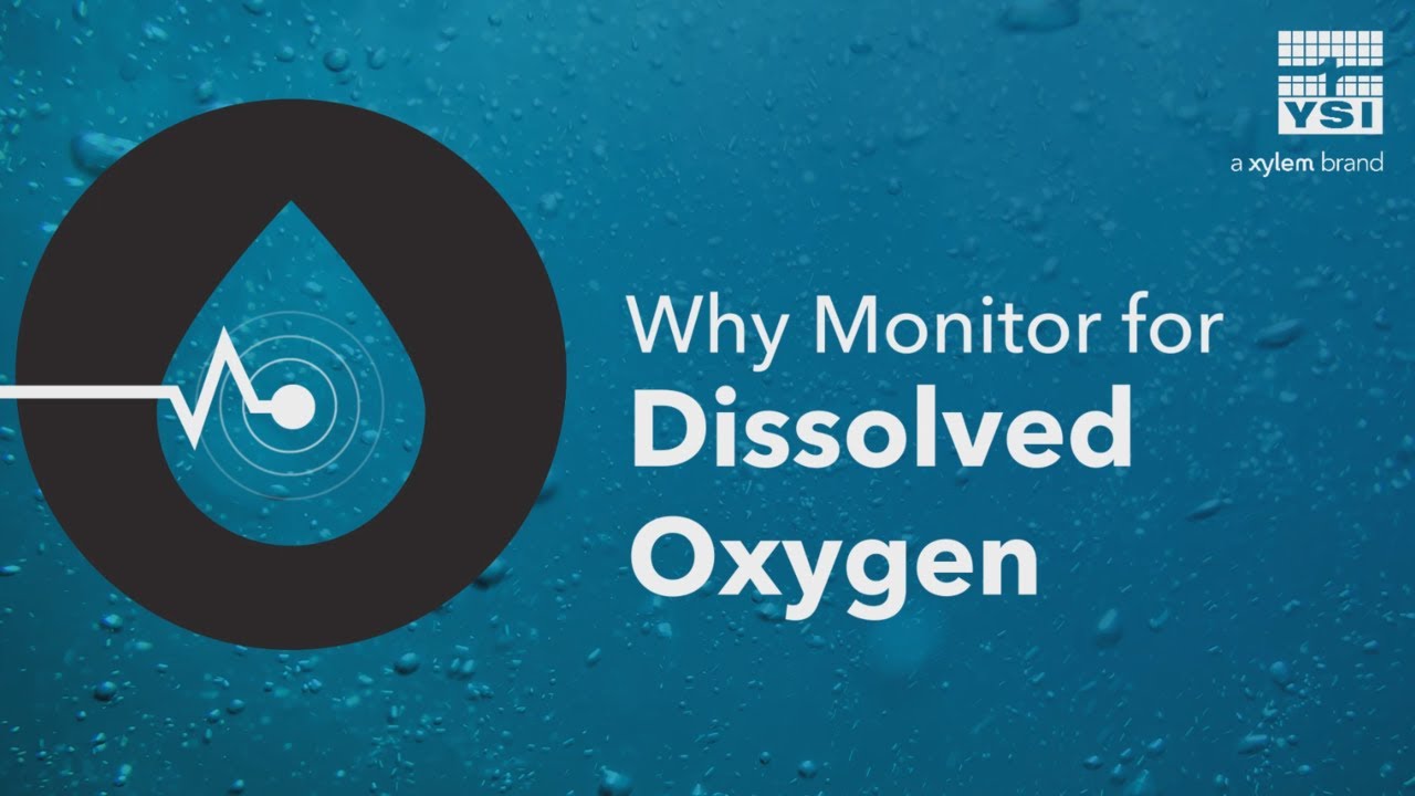 Why Monitor for Dissolved Oxygen